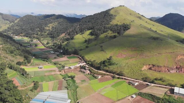 Plantation seen from above - chive
