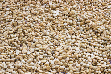 coffee beans as a background.
