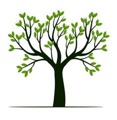 Fototapeta premium Green Spring Tree. Vector outline Illustration. Plant in garden.