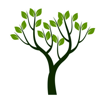 Green Spring Tree. Vector outline Illustration. Plant in garden.