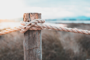 Rope on a pole of Molentargius park at sunset, lens blur and bokeh background