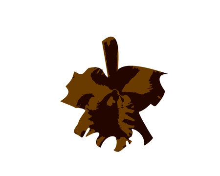 brown leaf on white background clip art preview