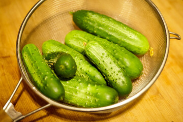Group of Cucumbers in a Strainer on Kitchen Counter