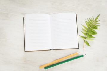 color pencils notepad and green twig on a white wooden background