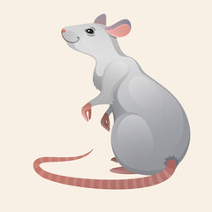 Vector illustration of the mouse. White rat.