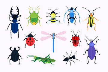 Collection of various insects. Flat design style.