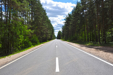 Fototapeta premium a road in the forest