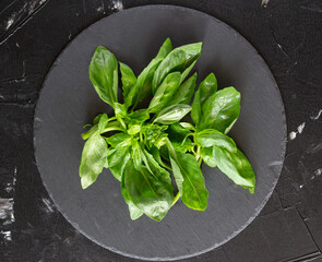 Fresh basil leaves on black round black slate board. Top view