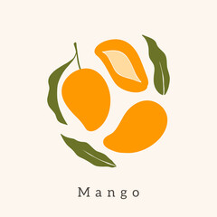 Stylish Mango vector design. Contemporary art print. Abstract hand drawn mango fruit and leaves for postcards, print, posters, covers, etc.