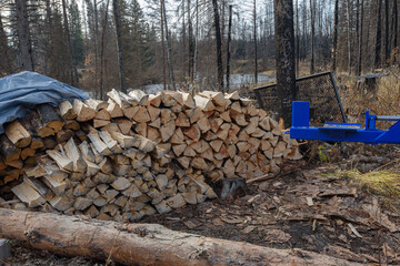 stack of firewood in forest by river