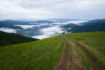Road in the mountains on the green meadow against panoramic mountain range view. Road tracks in Carpathian mountains. Clouds over valley in the morning. Stunning mountain landscape. Ukraine.