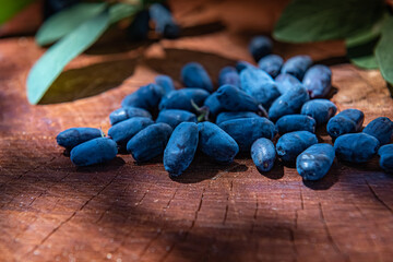 Close-up of honeysuckle berries with copy space