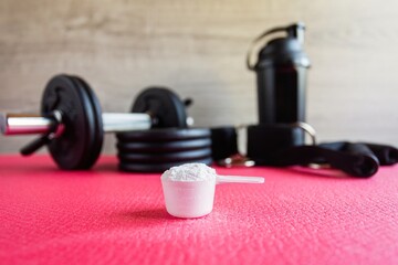 Obraz na płótnie Canvas Plastic spoon or measuring scoop of whey protein on the background of sports equipment, a shaker for mixing the mixture, black dumbbells, leg ties, elastic bands for traction and attachment handles.