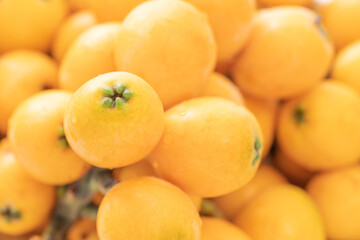 ビワのクローズアップ