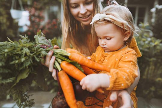 Mother and child daughter with organic vegetables healthy food family lifestyle homegrown beet and carrot local farming gardening vegan nutrition concept
