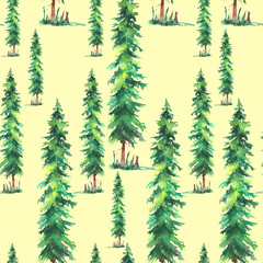 Watercolor art illustration. Drawing of the green forest, pine tree, spruce, cedar. Dark, dense forest, suburban landscape. Postcard, logo, card. Misty forest, haze. summer background with a forest