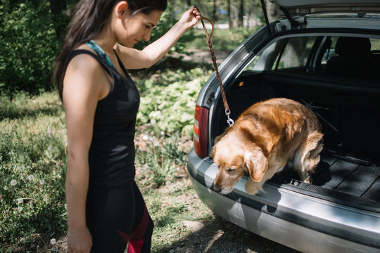 Dog jumping from trunk while girl is holding his leash. Blurred girl standing in front of opened trunk and holding dog leash while dog is jumping from car..