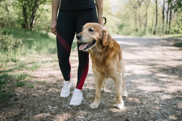 Cropped girl in sport leggins standing on forest path with dog. Female legs in sport pants next to cute dog on forest road, low section.