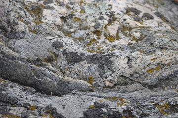 rock stone backrund 