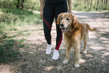 Low section view of dog next to female legs. Cropped girl in sport leggins walking on forest path while holding dog lead.