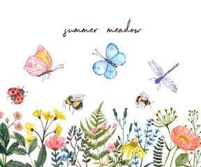 Watercolor summer meadow illustration. Wildflowers border. Bright colorful spring flowers, bees, butterflies, dragonfly, butterfly, isolated on white background. Green leaves, grass herbs © Anna Nekotangerine