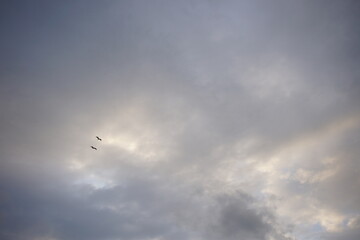 sky