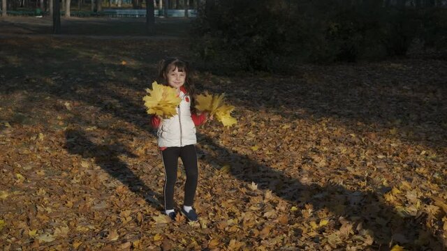 Promenade on yellow leaves. A cute little girl with a bouquet of yellow leaves walks in the fall in nature.