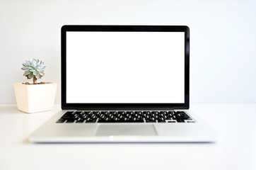 blank screen Modern laptop computer with mouse,Smart phone and Succulent on wood table in office view backgrounds