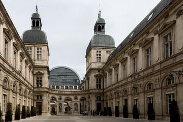 Fototapeta na wymiar Ayuntamiento de Lyon, Francia