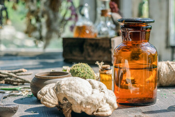 Magic potion bottles and dried plants on the witch doctor table. Witchcraft.
