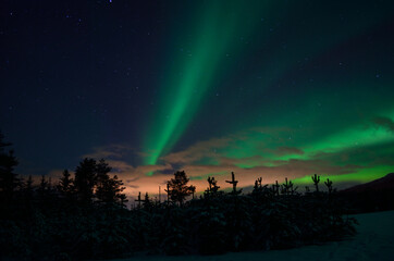 strong dreamy aurora borealis on star filled nigh sky over spruce trees and snowy field