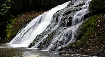 Obraz premium waterfall in the forest