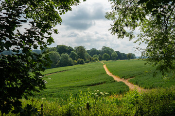 A countryside scene framed with trees and leave.  A pathway leading through fields away into the woods. Fluffy white clouds in the sky over rural England