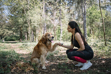 Dog giving a paw to squatting girl. Retriever sitting on ground in forest and giving paw to woman...