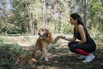 Girl squatting in park and holding dog's paw. Dog giving a paw to girl which is squatting in the...
