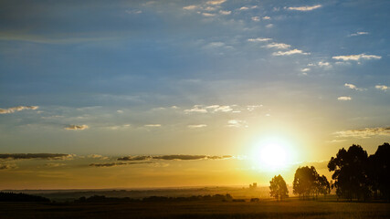 Beautiful sunset in a grass field and silhouettes of sparse trees. On background, some buildings of Ponta Grossa's cityscape. Paraná, Brazil