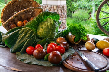 cooking food. seasonal vegetables on the table for a vegetarian recipe