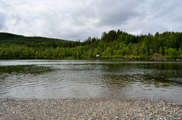 beautiful salmon river landscape with forest in summer