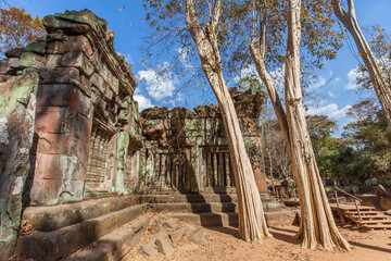 Obraz premium Beng Mealea temple ruins and banyan tree, the Angkor Wat style located east of the main group of temples at Angkor, Siem Reap, Cambodia.