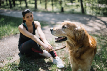 Close-up view of dog in forest with woman. Portrait of on focus dog standing in nature in front of blurred girl who is sitting on ground.