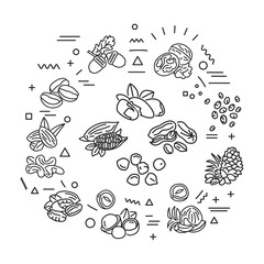 Nuts and seeds web banner. Infographics with linear icons on white background. Creative idea concept. Isolated outline black illustration