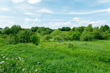 Splendid atmosphere of early warm and sunny summer and green grass and trees on a field with some hills and blue sky.