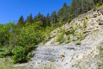 Überwucherter Steinbruch im Thüringerwald mit Fichten am Hang und blauem Himmel