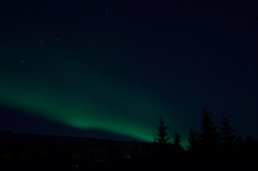 Fototapeta premium aurora borealis northern light on winter night sky over trees