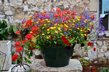 Fototapeta na wymiar Black plant pot with mediterranean colorful flowers in Provence, France, blurred stone house facade in the background