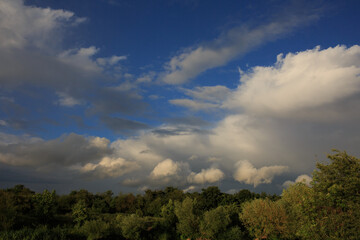 Clouds and bushes