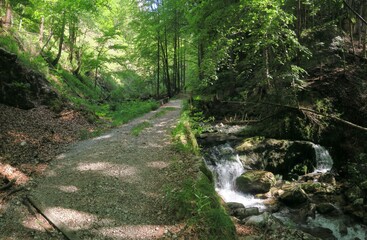Bachpanorama im Frühling