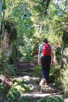 Women hiking in Itatiaia National Park, Lower Regions - Rio de Janeiro, Brazil