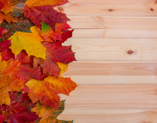 Autumn maple leaves as border on wooden background with copy space. Selective focus.