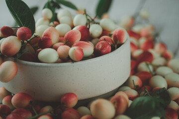 Carissa fruit in bowl